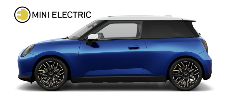 Mini Electric Mini Thuần điện